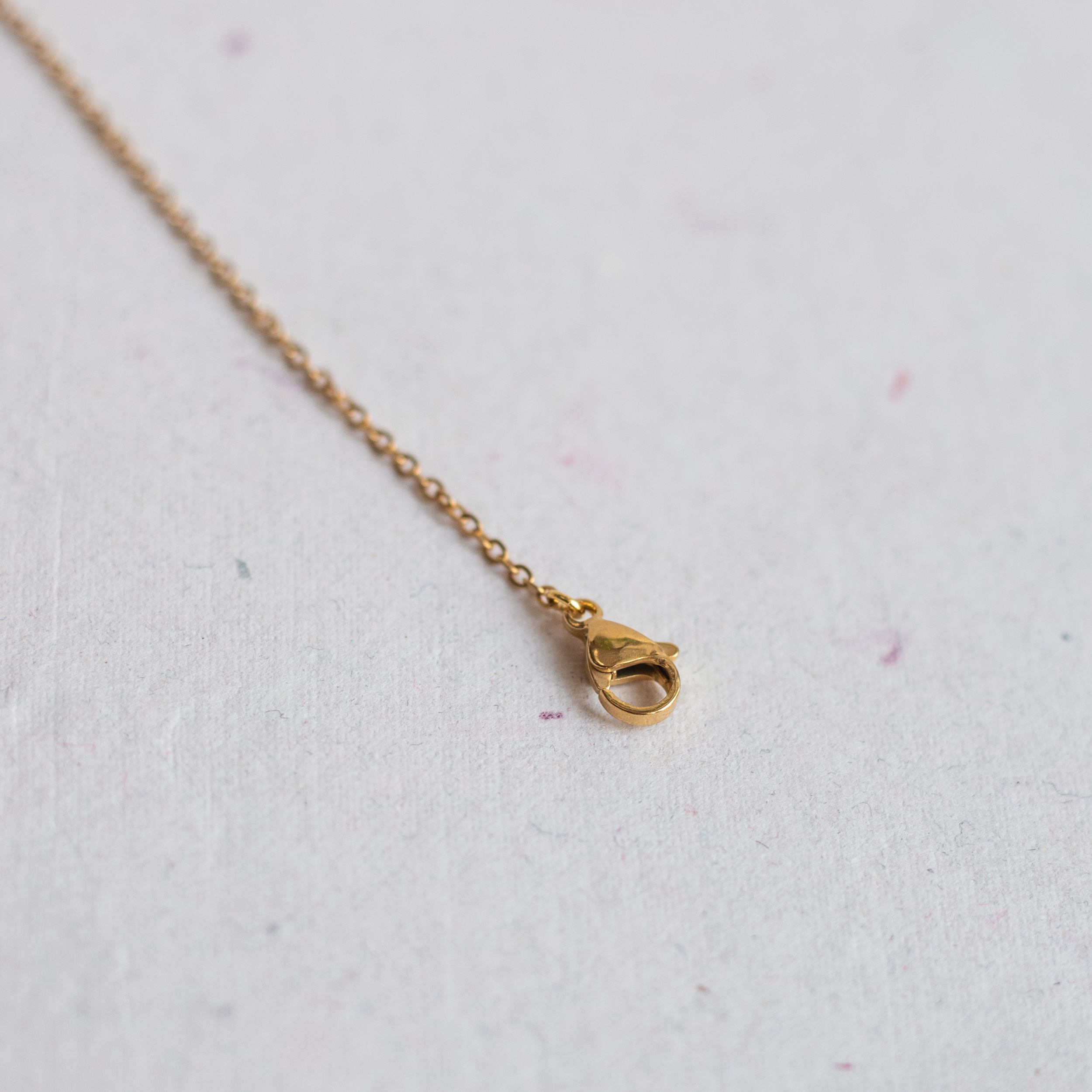 IMG_7761